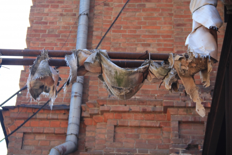 Фестиваль «Хвалынские этюды» стартовал с Арт-теста складов Рейнике