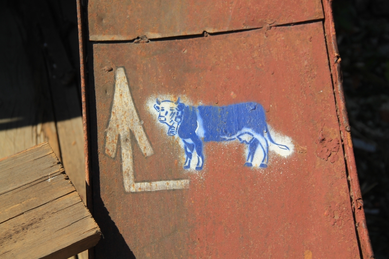 Фестиваль «Хвалынские этюды» стартовал с Арт-теста складов Рейнике