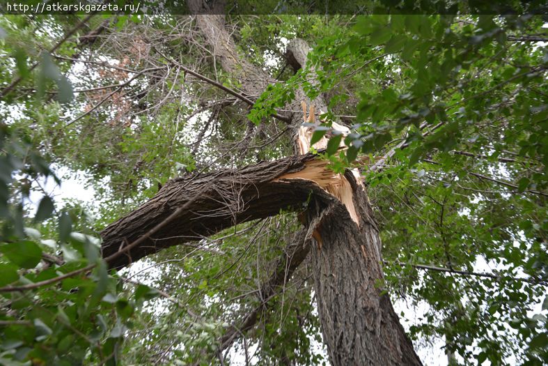 По Аткарску прошла пыльная буря