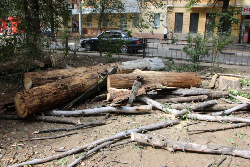 В Саратове началась масштабная реконструкция сквера на Рахова