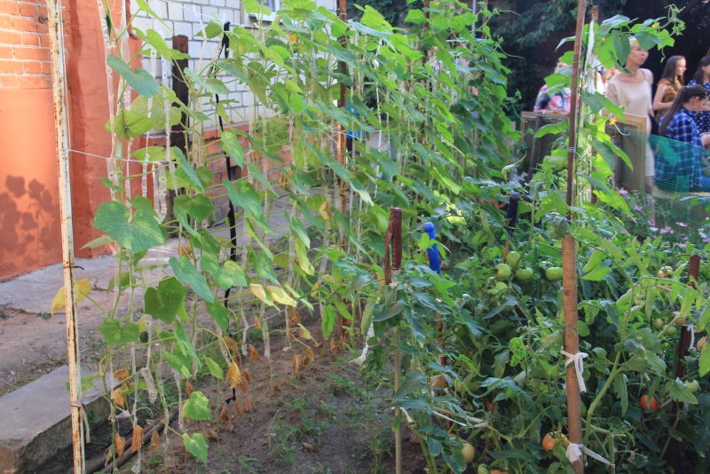 «Том Сойер Фест» отремонтировал дом в центре Саратова