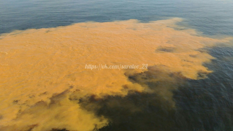 В Волгу у Саратова неизвестные слили желтую жидкость