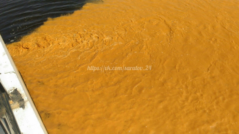 В Волгу у Саратова неизвестные слили желтую жидкость