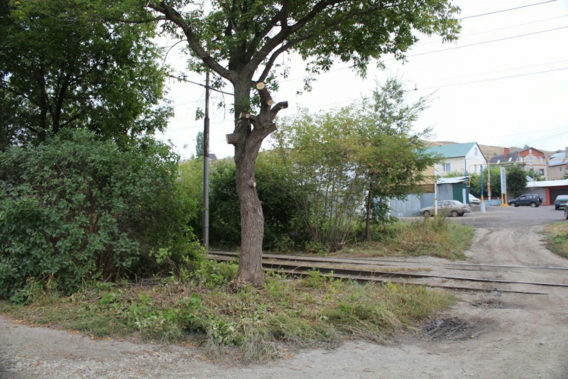 Вадим Ойкин оказал содействие жителям Дачного проспекта в благоустройстве территории