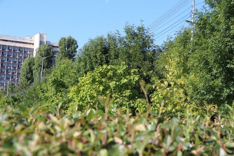«Бабье лето» по-саратовски в фоторепортаже