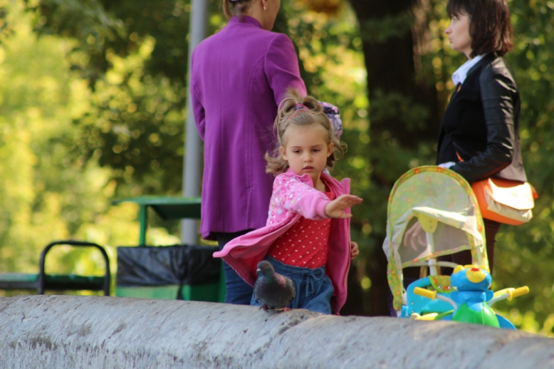 «Бабье лето» по-саратовски в фоторепортаже