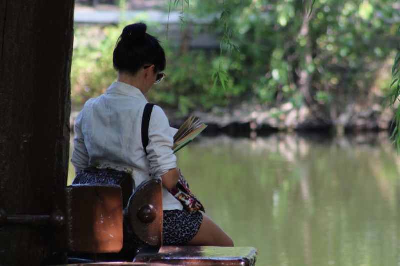 «Бабье лето» по-саратовски в фоторепортаже