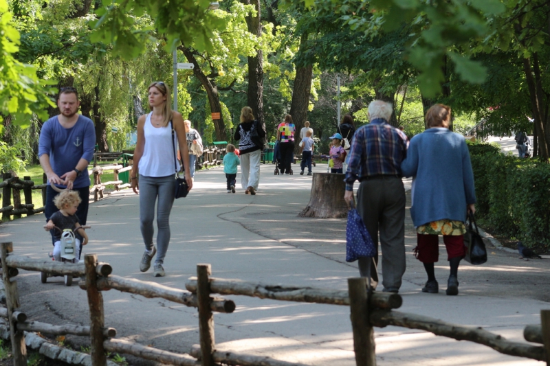 «Бабье лето» по-саратовски в фоторепортаже