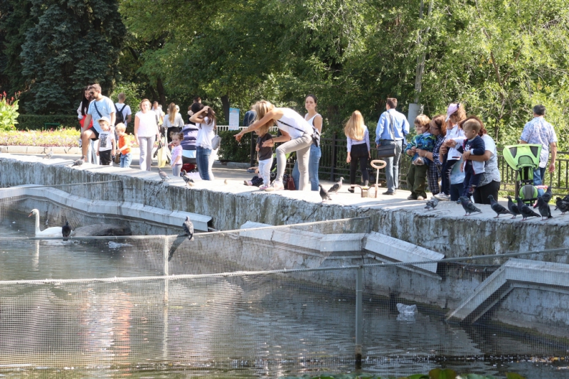 «Бабье лето» по-саратовски в фоторепортаже