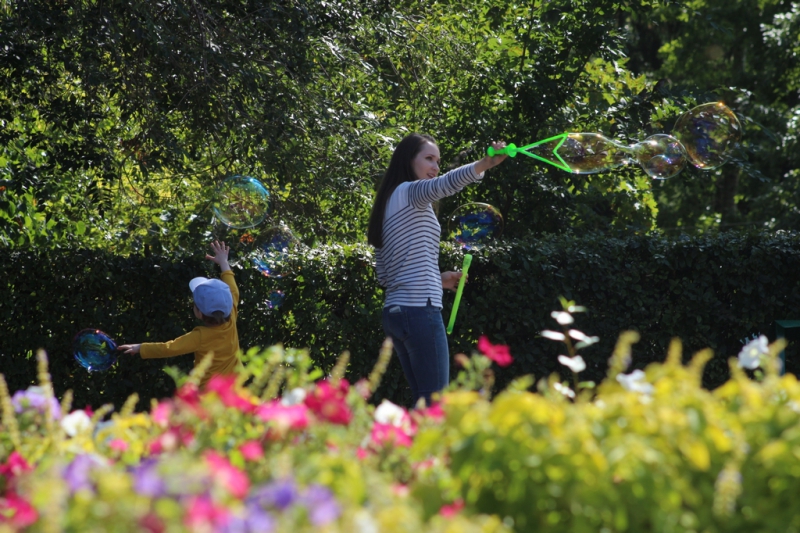 «Бабье лето» по-саратовски в фоторепортаже