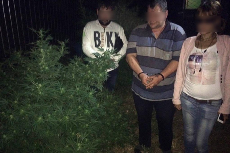 В саратовском спортбаре задержали ОПГ распространителей наркотиков