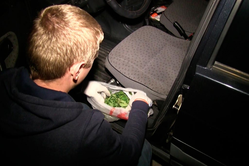 В саратовском спортбаре задержали ОПГ распространителей наркотиков