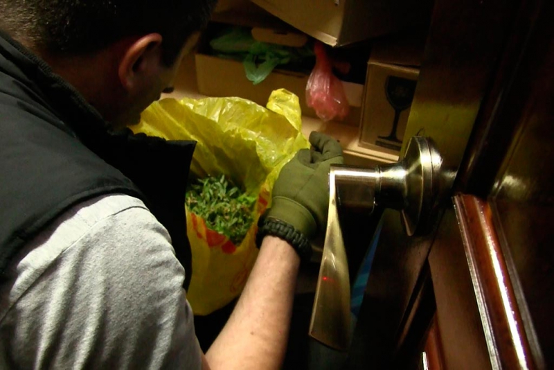 В саратовском спортбаре задержали ОПГ распространителей наркотиков