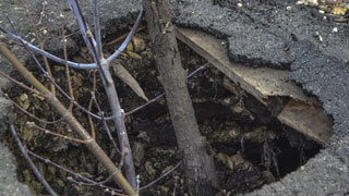 ��� ������� ����������� ����������: ������� ����� �� ������