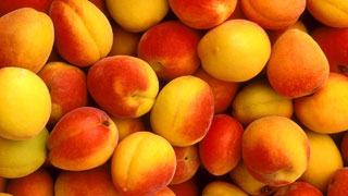 � ������� ������ ��������� ��������� ����������� ���������