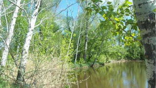 � ����� ������� ��������� ��������� ���� �������