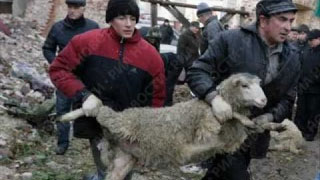 В Москве запретили резать животных на Курбан-байрам В Москве запретили резать животных на Курбан-байрам