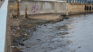 «Ушедшая» Волга обнажила мусор вдоль набережной Саратова