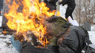 В Саратове уничтожили крупную партию наркотиков В Саратове уничтожили крупную партию наркотиков