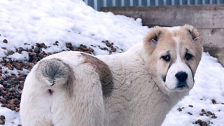 �������� ������ ���������� ������ ��������� ����� � ������