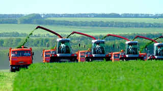 Выпуск сельхозпродукции остался на уровне прошлого года Выпуск сельхозпродукции остался на уровне прошлого года