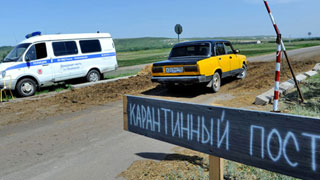 Волгоградская область вводит запрет на ввоз саратовской свинины