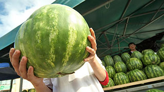 Продавец арбузами пытался подкупить полицейского