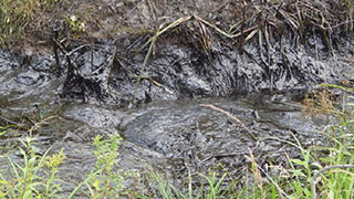 ����� ��� ������� ����� ��������� ��-�� ����������� ���������������