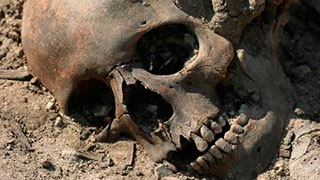 В Балаковском районе нашли скелет с рюкзаком