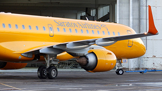 Облдума: В «Саравиа» не сделали выводов о безопасности полетов Облдума: В «Саравиа» не сделали выводов о безопасности полетов