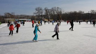 В Саратове откроются 8 площадок для массового катания на коньках В Саратове откроются 8 площадок для массового катания на коньках