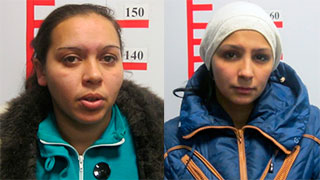 Под видом переписи населения две девушки похитили деньги