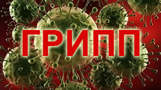 Первой жертвой гриппа в Саратовской области стал сотрудник СУ СК