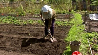 Депутаты не отменили налог на участки до 8 соток