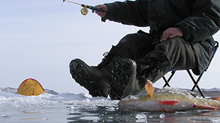 На реке под Энгельсом спасли провалившегося в воду рыбака На реке под Энгельсом спасли провалившегося в воду рыбака