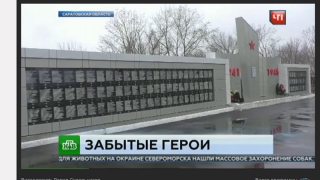 Федеральный телеканал рассказал о размытом захоронении воинов в Балашове