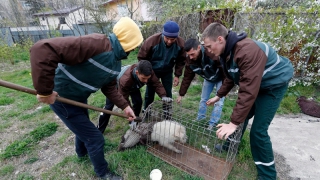 ������������� �������� ���������� ������� ���������� �� �������� ��������