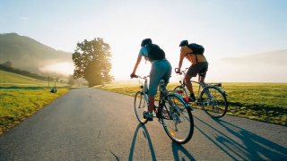 ������� ������ ������������ �������� ���������� �������� �� �������