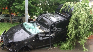 «Рено Сандеро» снес дерево, перевернулся и загорелся «Рено Сандеро» снес дерево, перевернулся и загорелся