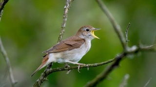 � �������� ���� 50 ������ ������ �������