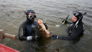 ��� ���������� ������������ ������ ����� ������ ����������� ������������