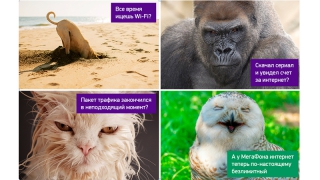 Саратовский «МегаФон» делает интернет безлимитным на линейке «Все включено» Саратовский «МегаФон» делает интернет безлимитным на линейке «Все включено»