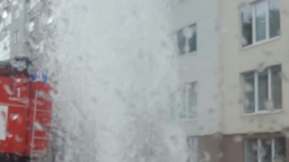 ����� ���������� � �������� ���� ������������� �������