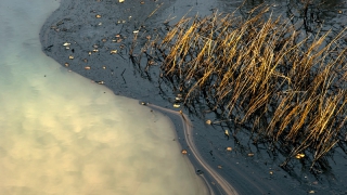 � ����������� ������ ����� ������ ���������������