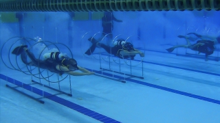 ��������� �������� �� ���������� ������ �� ���������� ��������������