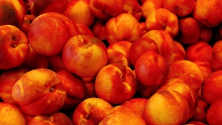 � �������� ���������� ������� ����� ��������� � ����������