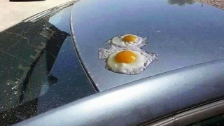 � �������� �� ����� ���������� �������� �������