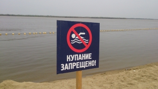 Экс-мэр Саратова предупредил устроителей нового пляжа о фекалиях Экс-мэр Саратова предупредил устроителей нового пляжа о фекалиях