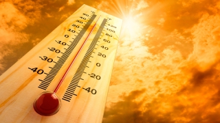 Август в Саратовской области будет аномально жарким и сухим