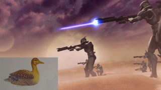 ��������� � �������������� � ���-���: ��� �� �� ������ � ���������������� �����